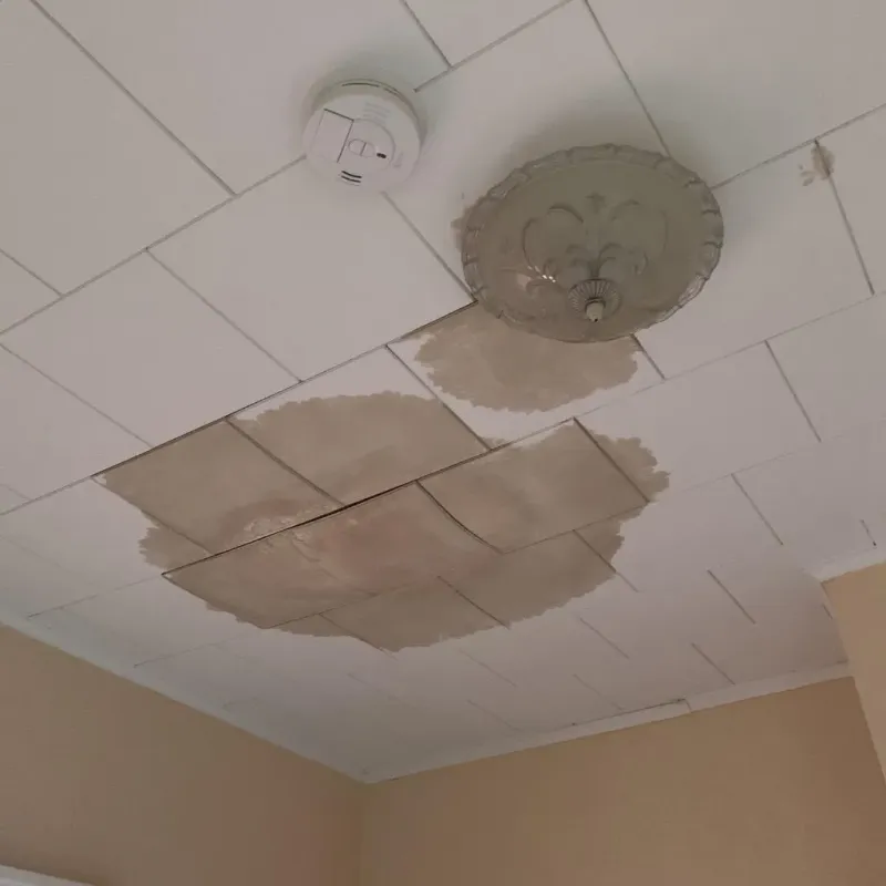 Ceiling Water Damage Repair in Yarrow Point, WA